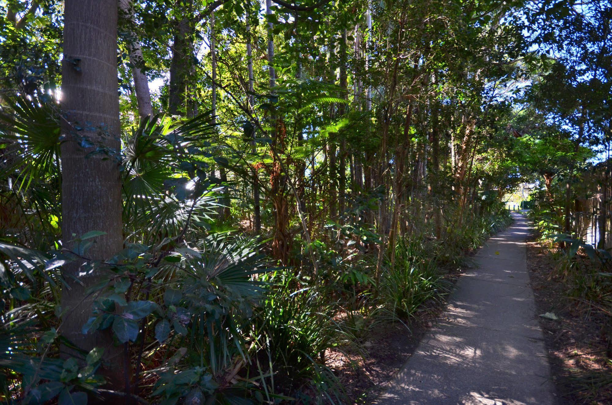 Raintrees Moffat Beach Caloundra Exteriör bild